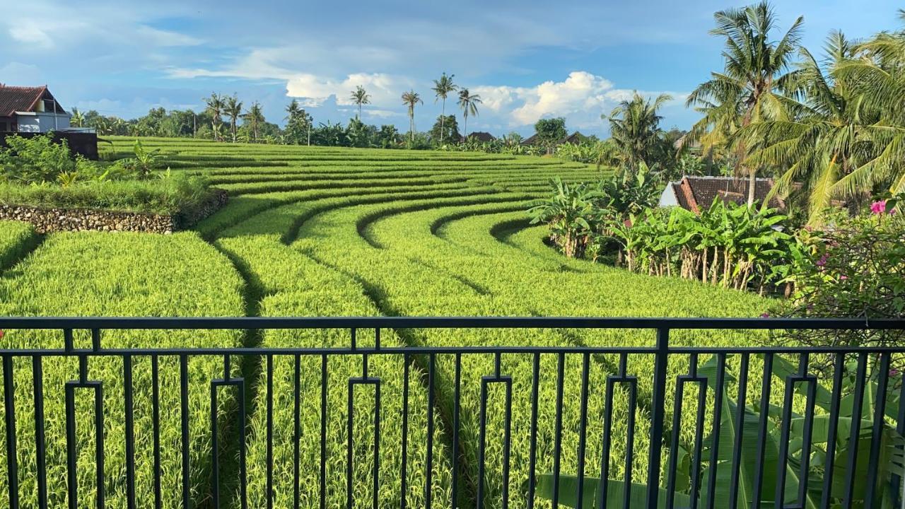 Canggu - Pererenan Guesthouse " Abalihouse " Exterior foto