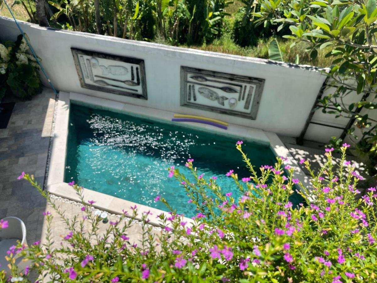 Canggu - Pererenan Guesthouse " Abalihouse " Exterior foto